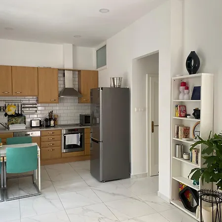 Superb With 70 Sqm Terrace In The Greens Of Buda Centre ブダペスト