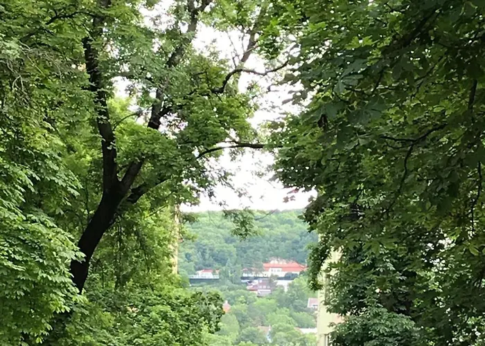 Appartement Superb 40 Sqm Terrace In The Greens Of Buda Centre Boedapest