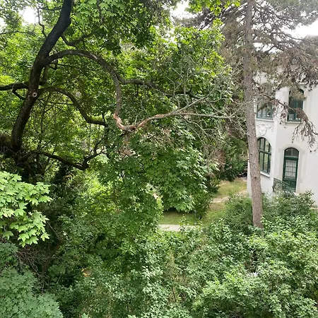 Superb 40 Sqm Terrace In The Greens Of Buda Centre * ブダペスト