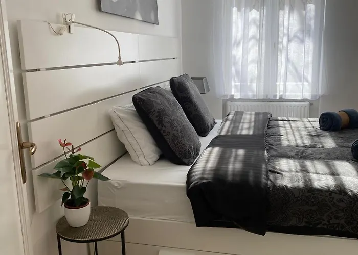 公寓 Superb 40 Sqm Terrace In The Greens Of Buda Centre